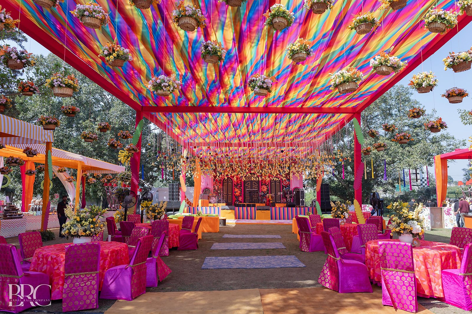 The canopy, in colour