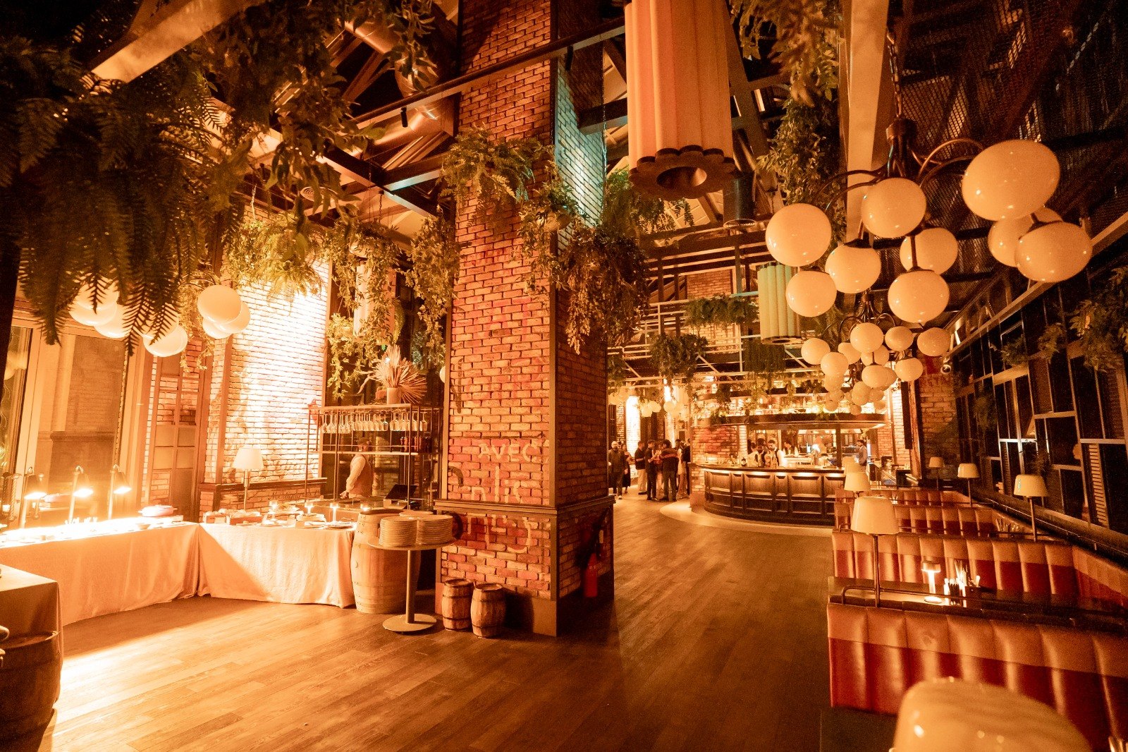 A lounge lit by globe lamps beneath hanging ferns